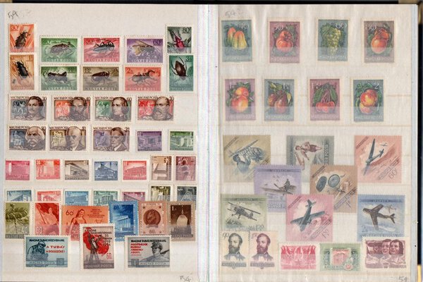 Immagine aggiuntiva 3