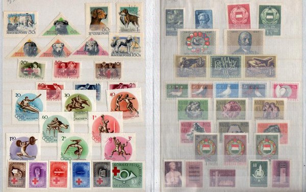 Immagine aggiuntiva 4