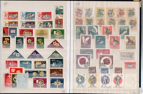 Immagine aggiuntiva 5