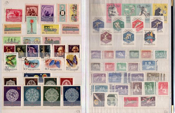 Immagine aggiuntiva 6