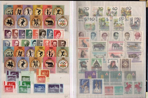 Immagine aggiuntiva 7