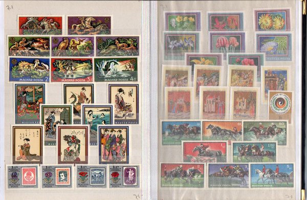 Immagine aggiuntiva 5