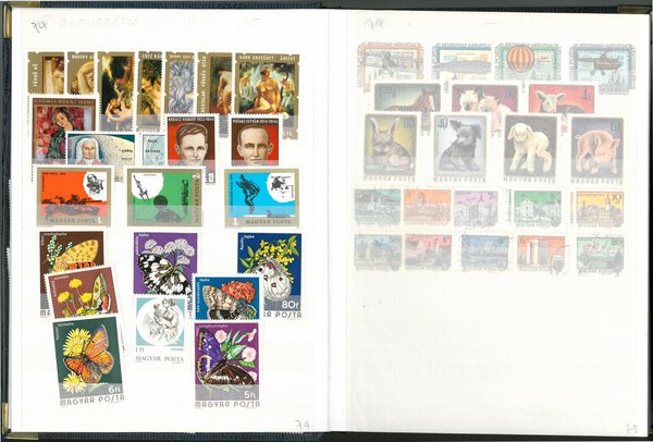 Immagine aggiuntiva 1