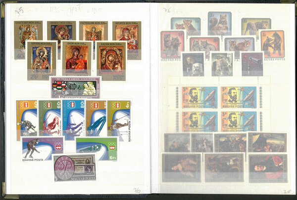 Immagine aggiuntiva 2