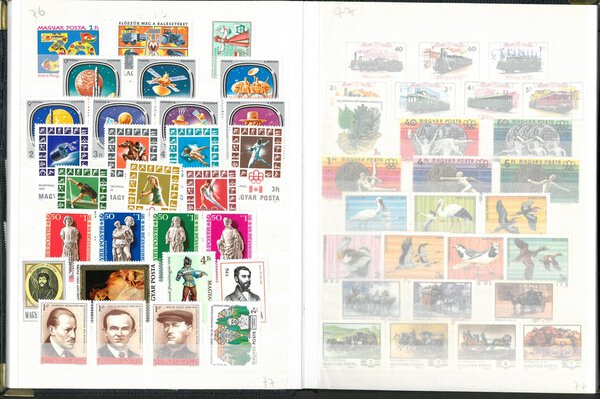 Immagine aggiuntiva 3