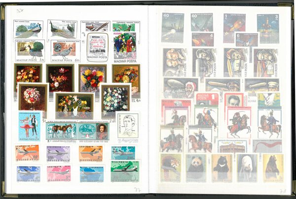 Immagine aggiuntiva 4