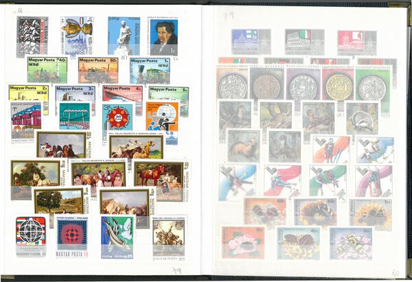 Immagine aggiuntiva 6