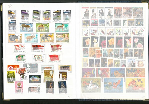 Immagine aggiuntiva 8