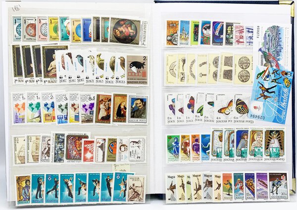 Immagine aggiuntiva 9