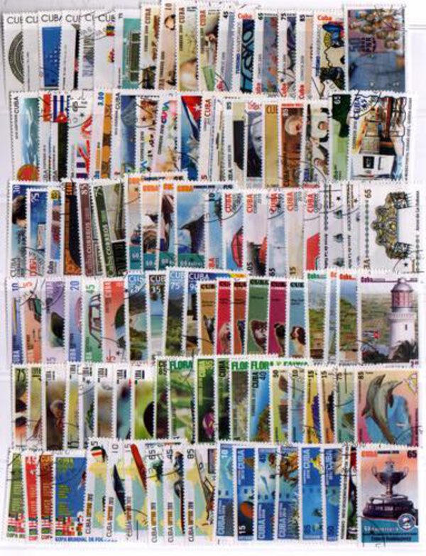 Immagine aggiuntiva 6