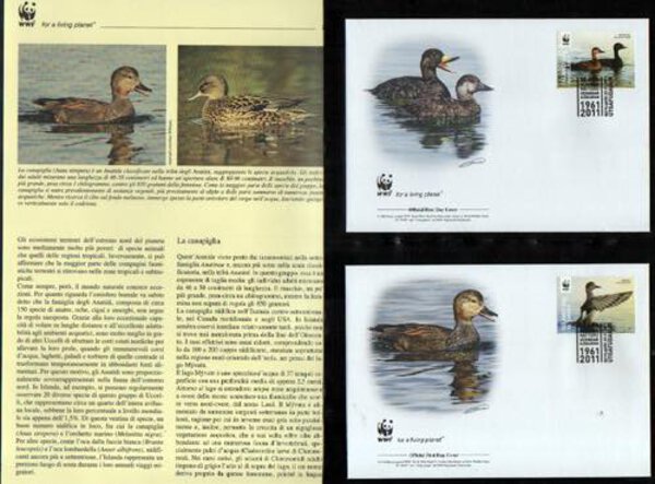 Immagine aggiuntiva 1