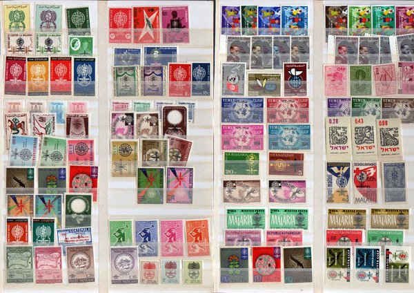 Immagine aggiuntiva 1