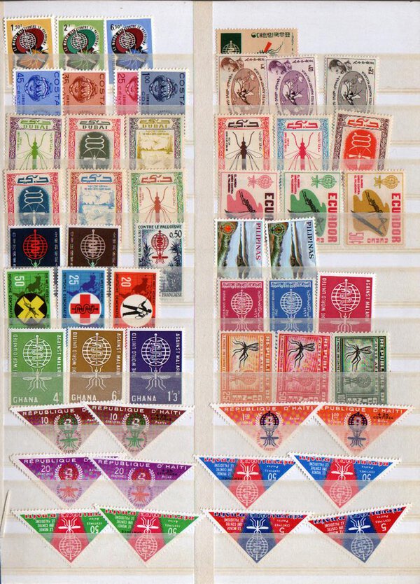 Immagine aggiuntiva 2