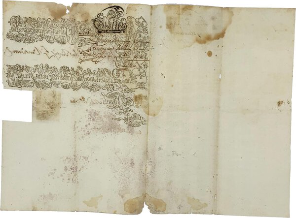 Immagine aggiuntiva 1