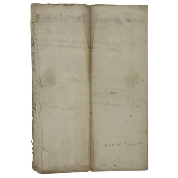 Immagine aggiuntiva 1