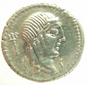 Calpurnia Denario foto 1