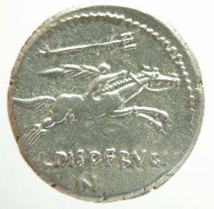Calpurnia Denario foto 1