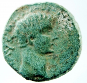 Philippi Augusto asse foto 1