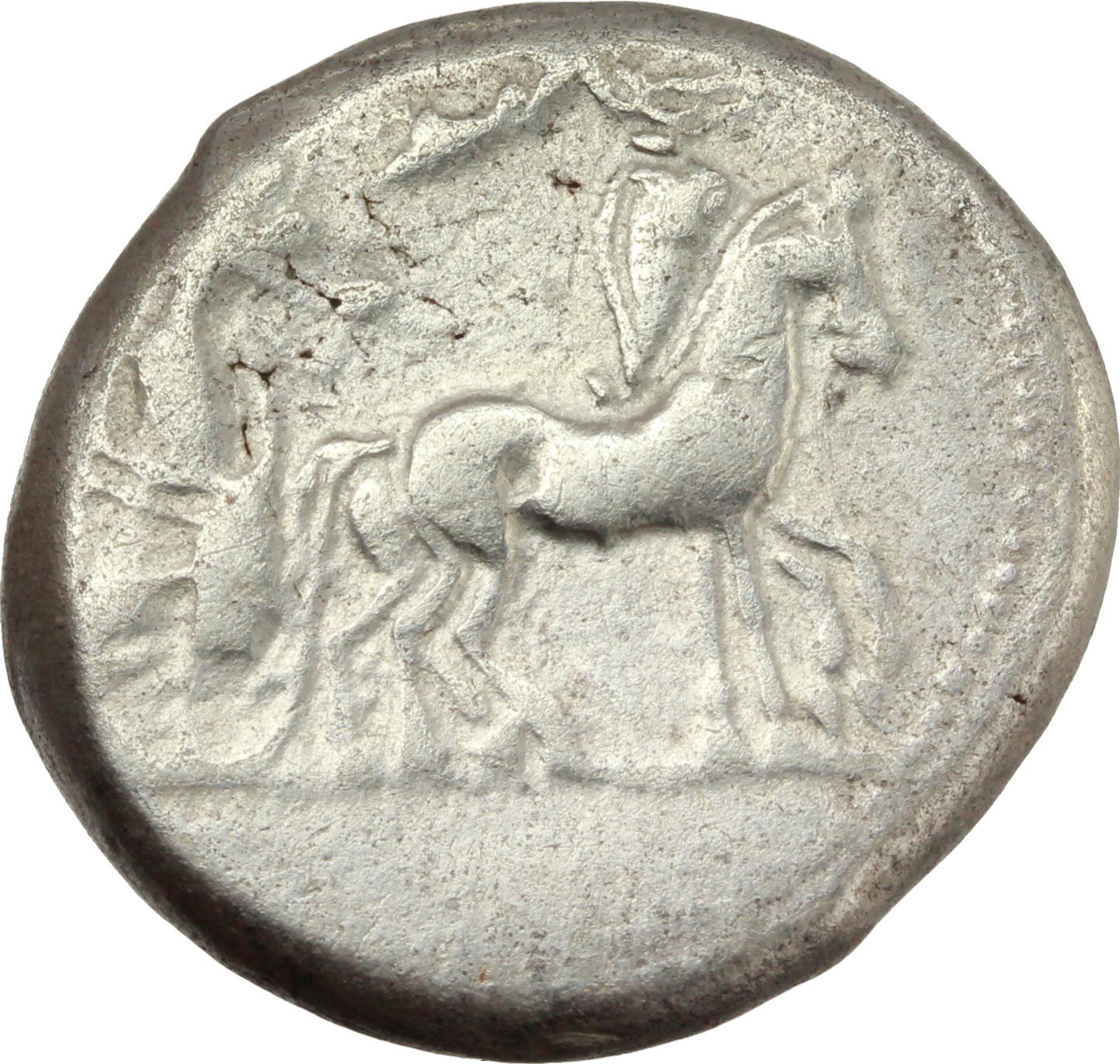 Gela Tetradracma, ca. 470 a.C. foto 1