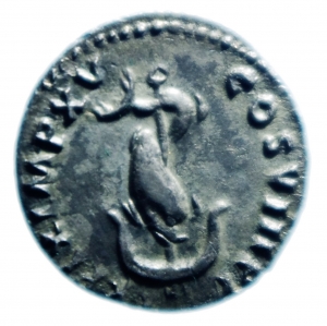 Tito denario foto 1