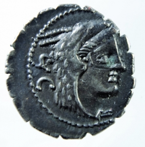 Procilia denario foto 1