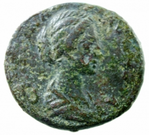 Crispina asse foto 1