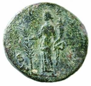 Crispina asse foto 1