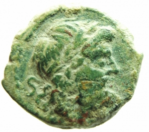 Caecilia semisse foto 1