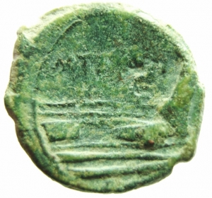 Caecilia semisse foto 1