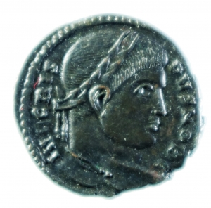 Crispo Follis foto 1