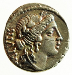 Repubblica Romana. Gens Acilia. Manius Acilius Glabrio. 49 a.C. Denario. D/ SALVTIS. Testa della Sal foto 1
